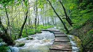  تور مازندران